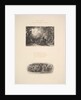 The Vine, or Plumpy Bacchus, 1880 by Samuel Palmer