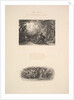 The Vine, or Plumpy Bacchus, 1880 by Samuel Palmer