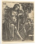 Woman with a Harp, 1520-25 by Sebald Beham