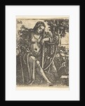 Woman with a Harp, 1520-25 by Sebald Beham