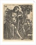 Woman with a Harp, 1520-25 by Sebald Beham