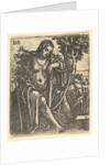 Woman with a Harp, 1520-25 by Sebald Beham