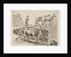 Plate 9: a cow ascending a bank, a peasant woman leading two cows across a bridge i…, ca. 1644-47 by Stefano della Bella