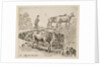 Plate 9: a cow ascending a bank, a peasant woman leading two cows across a bridge i…, ca. 1644-47 by Stefano della Bella