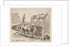 Plate 9: a cow ascending a bank, a peasant woman leading two cows across a bridge i…, ca. 1644-47 by Stefano della Bella