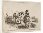 Plate 11: a young horseman, seen from the front, leading another horse, from 'Diver…, ca. 1644-47 by Stefano della Bella