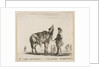 Plate 15: a Polish nobleman, facing away, holding his horse covered in leopard skin…, ca. 1644-47 by Stefano della Bella