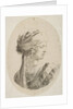 Sultana wearing a turban, in profile to the right, from 'Several heads in the Persian s…, 1649-50 by Stefano della Bella