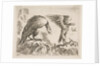 Plate 2: eagle and eaglet, from 'Various animals', ca. 1641 by Stefano della Bella
