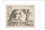 Plate 2: eagle and eaglet, from 'Various animals', ca. 1641 by Stefano della Bella
