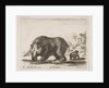 Plate 4: bear, from 'Various animals', 1641 by Stefano della Bella