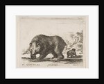 Plate 4: bear, from 'Various animals', 1641 by Stefano della Bella