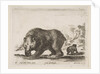 Plate 4: bear, from 'Various animals', 1641 by Stefano della Bella