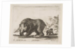 Plate 4: bear, from 'Various animals', 1641 by Stefano della Bella
