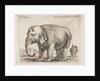 Plate 10: elephant, from 'Various animals', ca. 1641 by Stefano della Bella