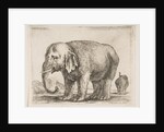 Plate 10: elephant, from 'Various animals', ca. 1641 by Stefano della Bella