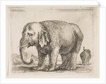 Plate 10: elephant, from 'Various animals', ca. 1641 by Stefano della Bella
