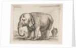 Plate 10: elephant, from 'Various animals', ca. 1641 by Stefano della Bella