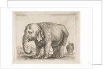 Plate 10: elephant, from 'Various animals', ca. 1641 by Stefano della Bella