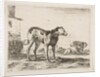 Plate 11: dogs, from 'Various animals', ca. 1641 by Stefano della Bella