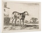 Plate 11: dogs, from 'Various animals', ca. 1641 by Stefano della Bella