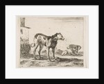 Plate 11: dogs, from 'Various animals', ca. 1641 by Stefano della Bella