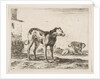 Plate 11: dogs, from 'Various animals', ca. 1641 by Stefano della Bella