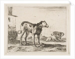 Plate 11: dogs, from 'Various animals', ca. 1641 by Stefano della Bella