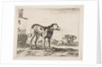Plate 11: dogs, from 'Various animals', ca. 1641 by Stefano della Bella