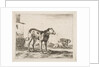 Plate 11: dogs, from 'Various animals', ca. 1641 by Stefano della Bella