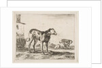 Plate 11: dogs, from 'Various animals', ca. 1641 by Stefano della Bella