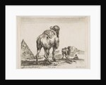 Plate 18: camel viewed from behind with pyramid at left, from 'Various animals by Stefano della Bella