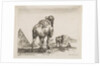 Plate 18: camel viewed from behind with pyramid at left, from 'Various animals by Stefano della Bella