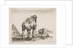 Plate 18: camel viewed from behind with pyramid at left, from 'Various animals by Stefano della Bella