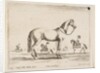 Plate 21: horse, from 'Various animals', 1641 by Stefano della Bella