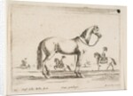 Plate 21: horse, from 'Various animals', 1641 by Stefano della Bella