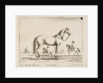 Plate 21: horse, from 'Various animals', 1641 by Stefano della Bella
