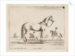 Plate 21: horse, from 'Various animals', 1641 by Stefano della Bella