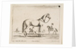 Plate 21: horse, from 'Various animals', 1641 by Stefano della Bella
