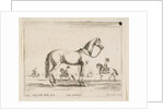 Plate 21: horse, from 'Various animals', 1641 by Stefano della Bella