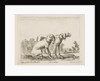 Plate 23: two hounds, from 'Various animals', ca. 1641 by Stefano della Bella
