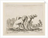 Plate 23: two hounds, from 'Various animals', ca. 1641 by Stefano della Bella