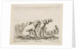 Plate 23: two hounds, from 'Various animals', ca. 1641 by Stefano della Bella