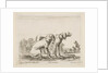 Plate 23: two hounds, from 'Various animals', ca. 1641 by Stefano della Bella