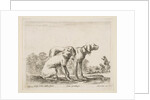 Plate 23: two hounds, from 'Various animals', ca. 1641 by Stefano della Bella