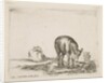 Plate 24: donkeys, from 'Various animals', ca. 1641 by Stefano della Bella