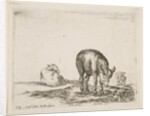 Plate 24: donkeys, from 'Various animals', ca. 1641 by Stefano della Bella