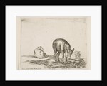 Plate 24: donkeys, from 'Various animals', ca. 1641 by Stefano della Bella