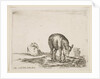 Plate 24: donkeys, from 'Various animals', ca. 1641 by Stefano della Bella