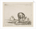 Plate 24: donkeys, from 'Various animals', ca. 1641 by Stefano della Bella
